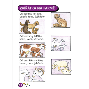 Říkačky pro chytré hlavičky – přímo od autorů