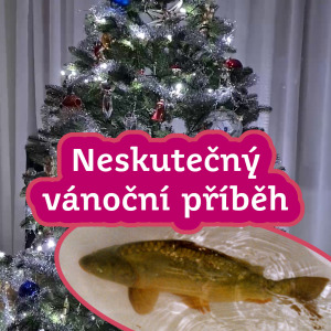 Vánoční příběh