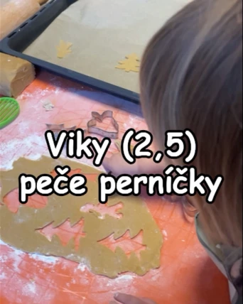 Viky peče perníčky