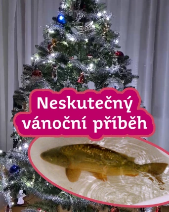 Vánoční příběh