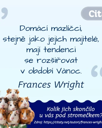 Domácí mazlíčči