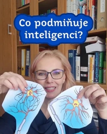Co podmiňuje inteligenci?