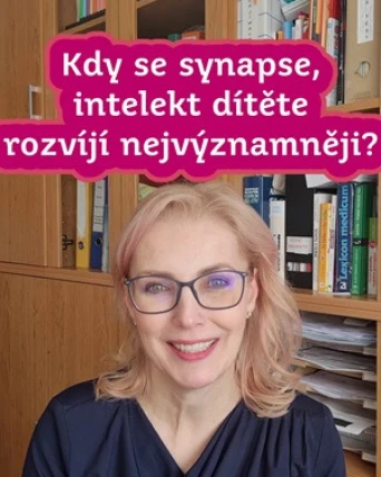 Kdy se synapse, intelekt dítěte rozvíjí nejvýznamněji?