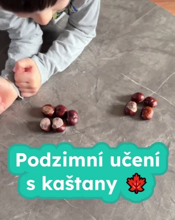 Podzimní učení s kaštany